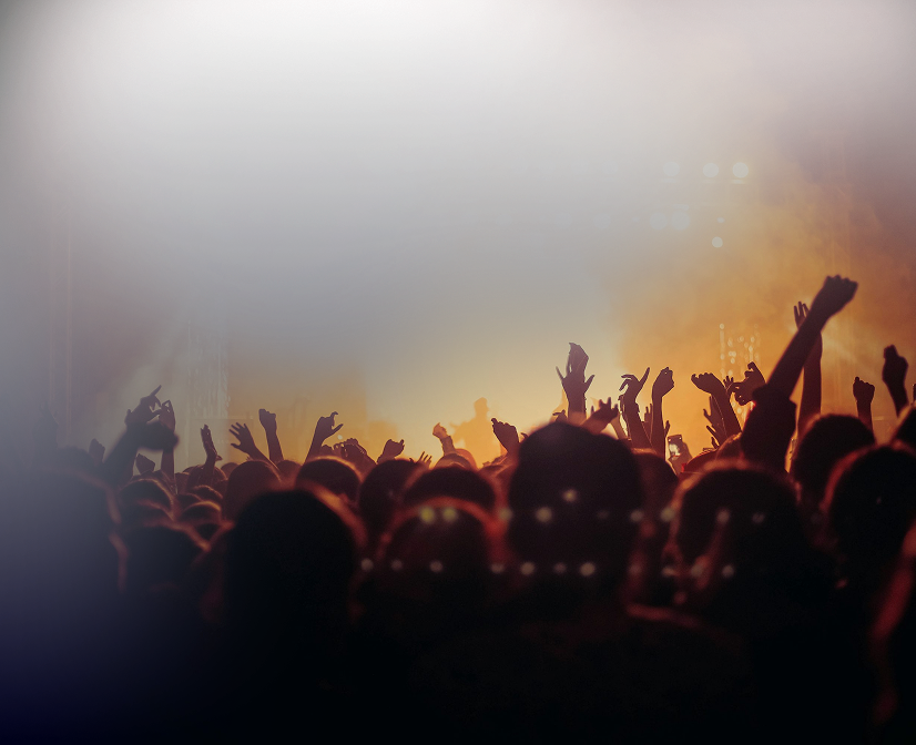 Crowd enjoying a concert